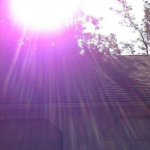 What Apple says about the Purple Haze Effect in the iPhone 5 Camera